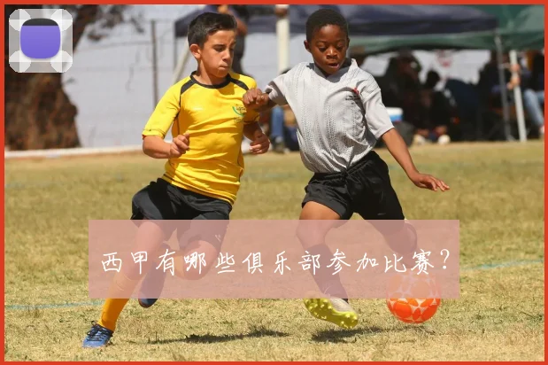 西甲有哪些俱乐部参加比赛？