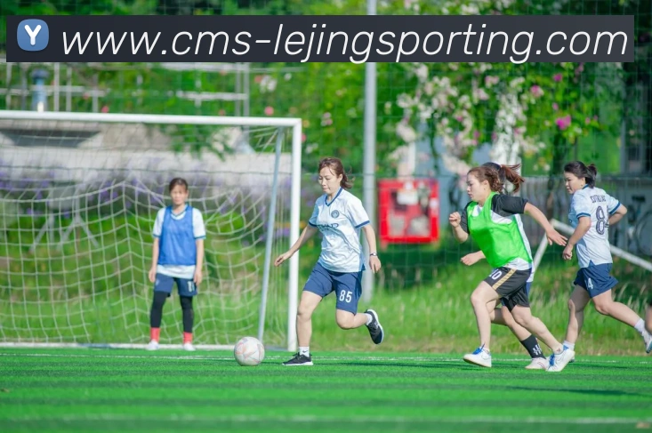 西甲联赛队伍：西甲联赛各队伍阵容与历史